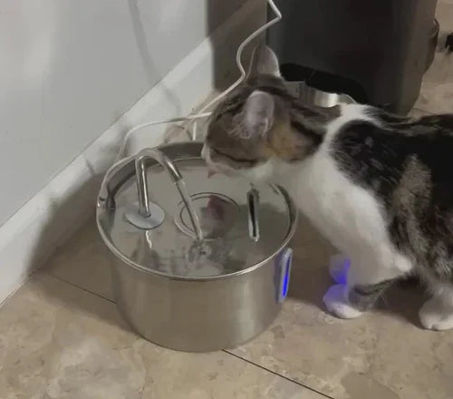 Debería haberlo comprado antes. Si está en stock, ¡cómpralo!