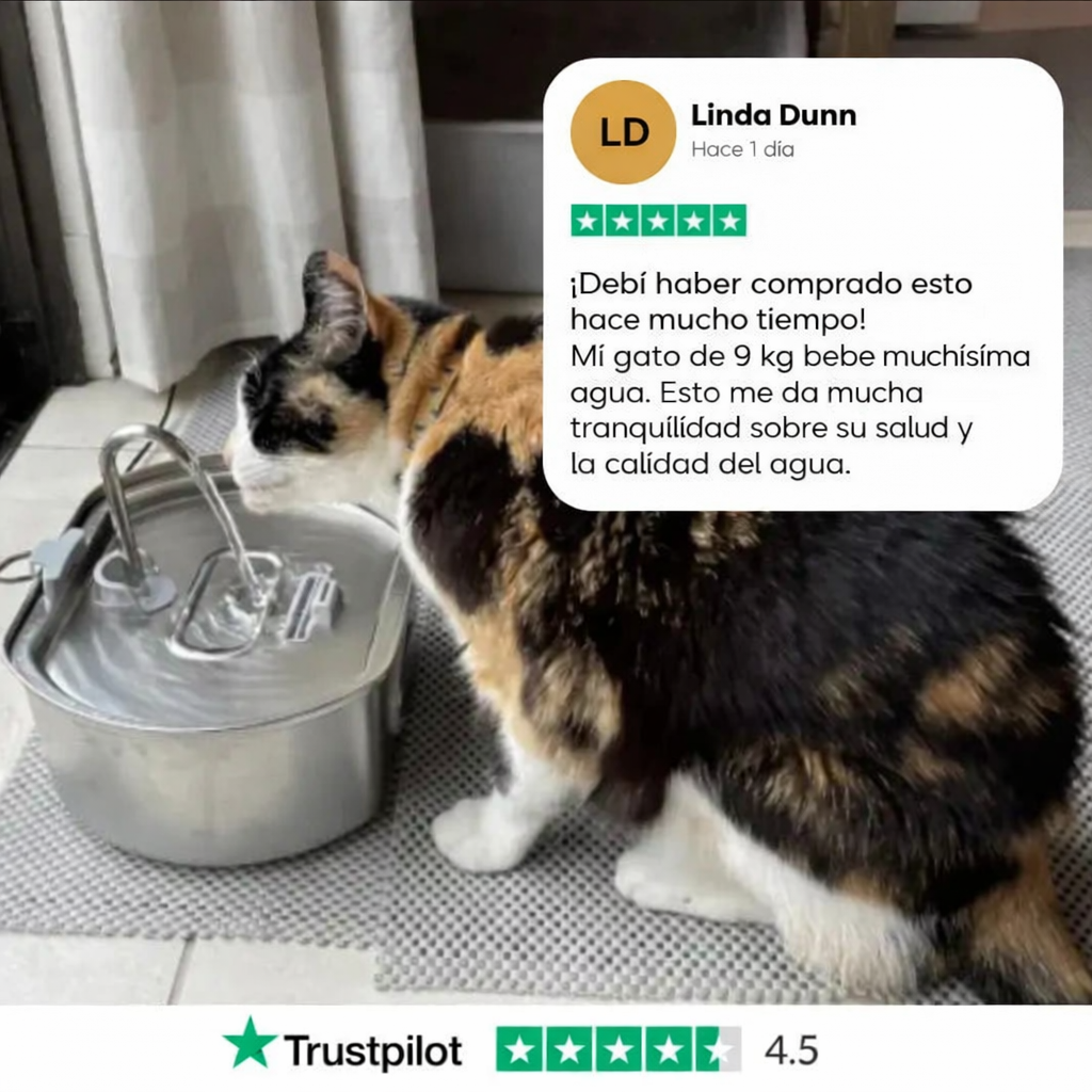 PuurrLovers - Fuente de Acero Inoxidable Automática