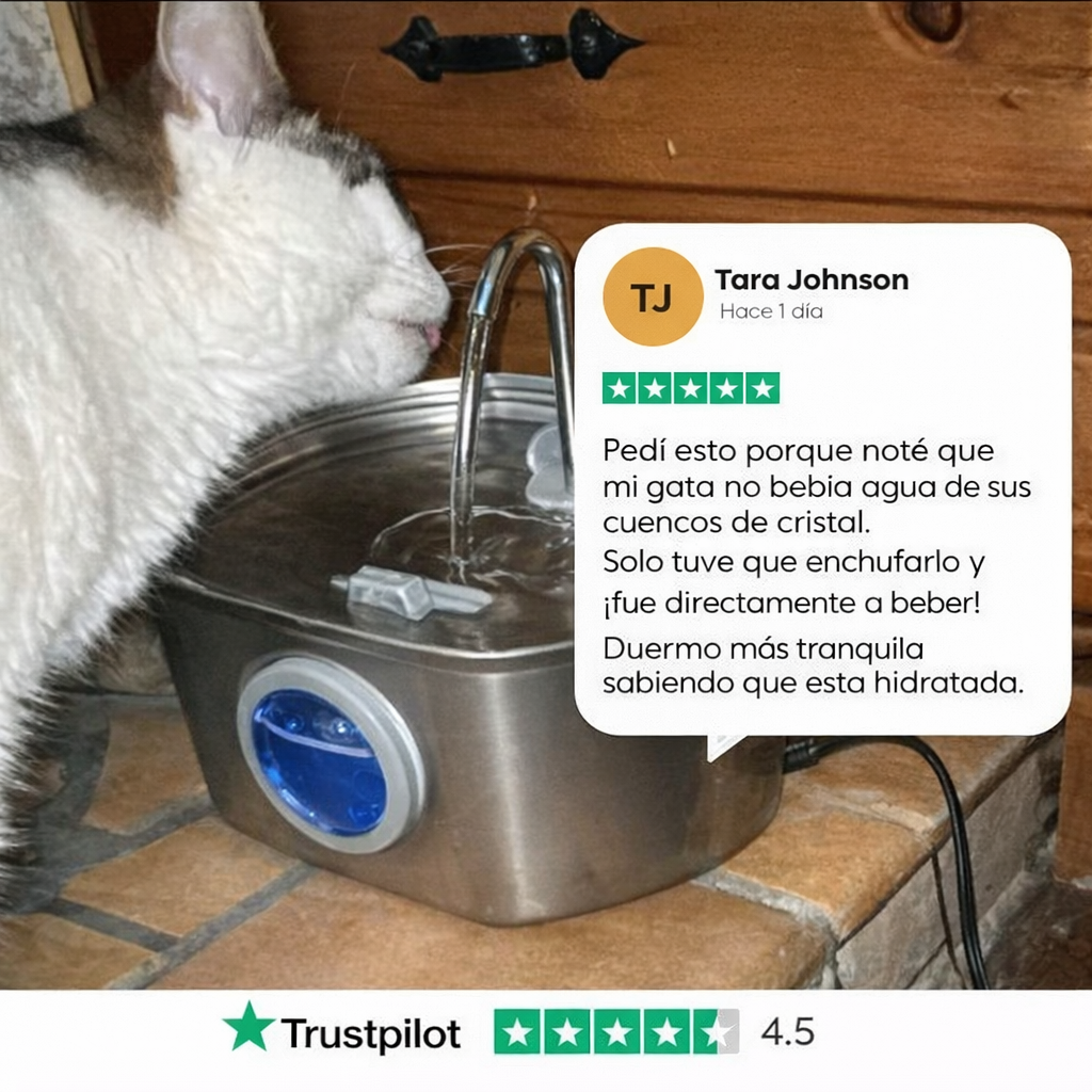 PuurrLovers - Fuente de Acero Inoxidable Automática